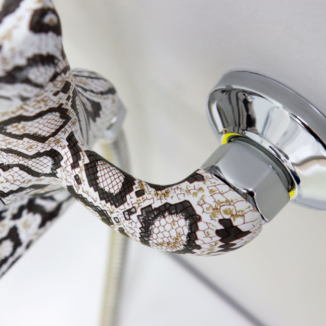 Elderly woman gets fright of her life after finding snake in her TOILET when she